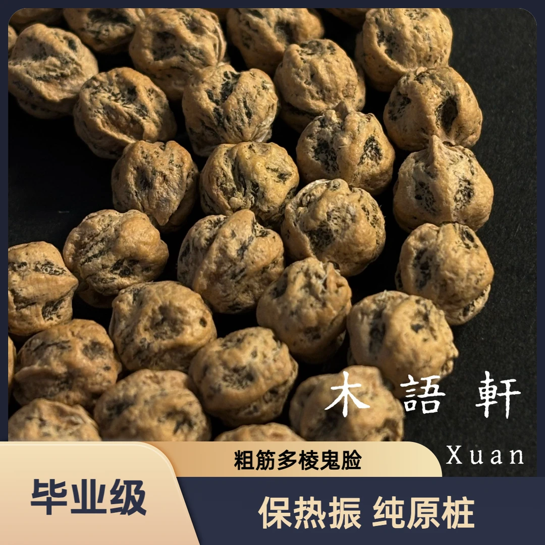 毕业级热振原桩龙脊深坑鬼脸柏香籽文玩长串百香籽108