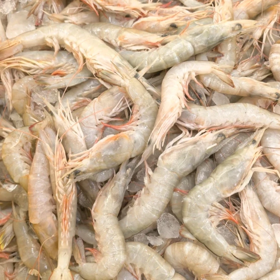 野生沙卢虾  鲜甜可口（500g/盒） 厦门发货 顺丰新鲜到家