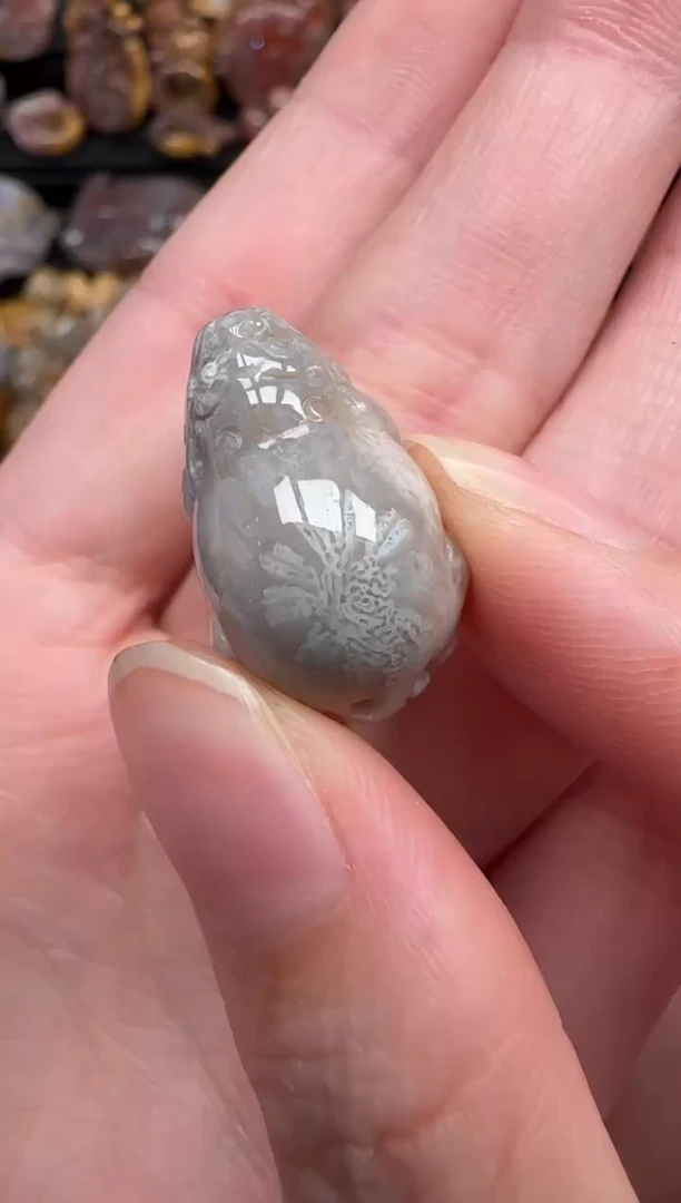颈饰未镶嵌硅化珊瑚（珊瑚玉）318