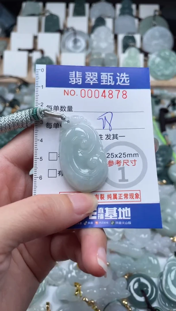翡翠未镶嵌颈饰00..4878