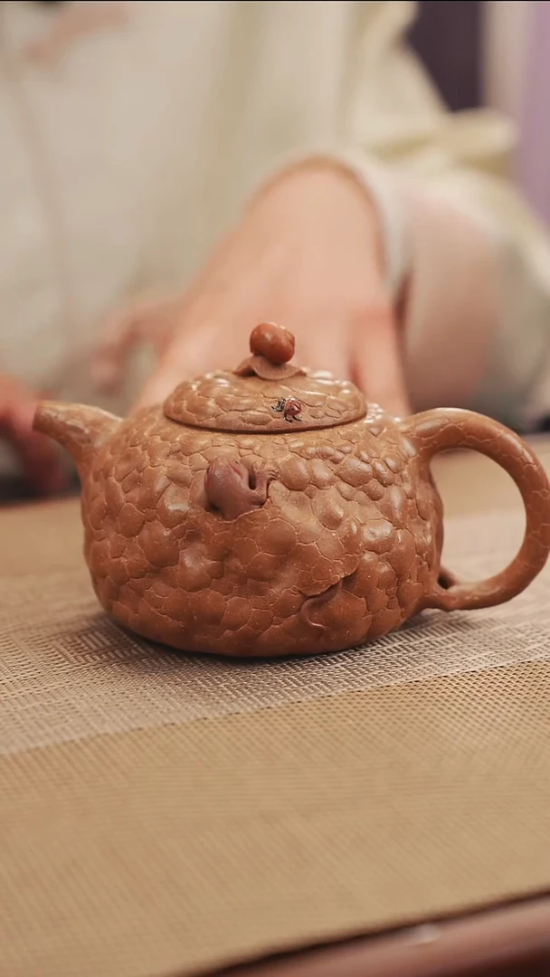 原矿壁虎供春原矿18