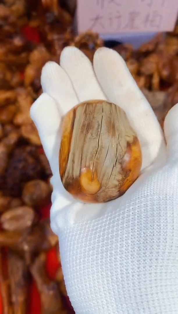 柏木（崖柏）53太行崖柏陈化手把手串