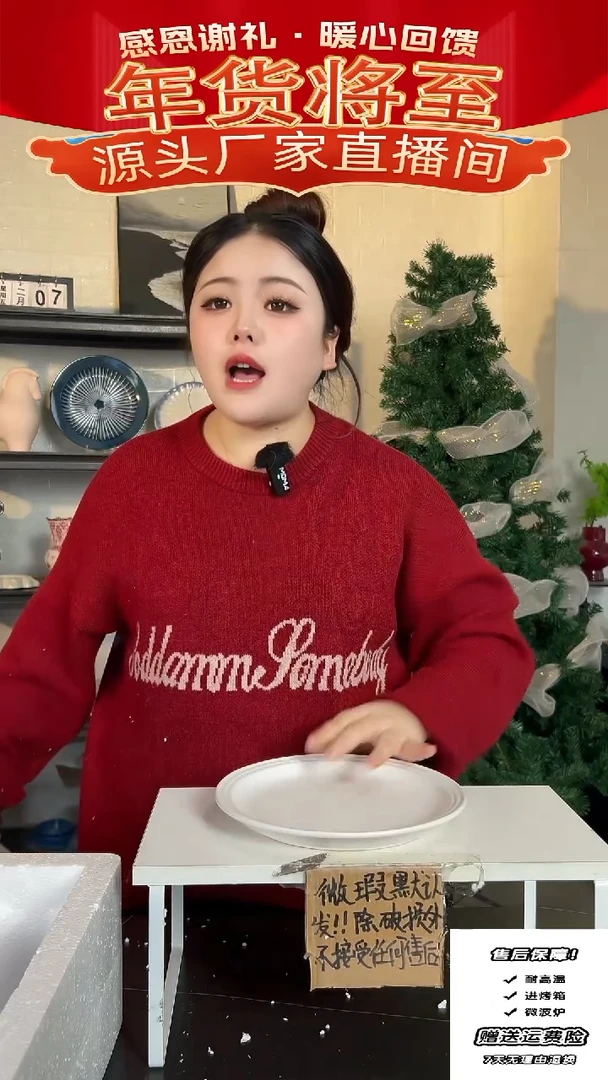 【闪购商品】瓷孤品-4