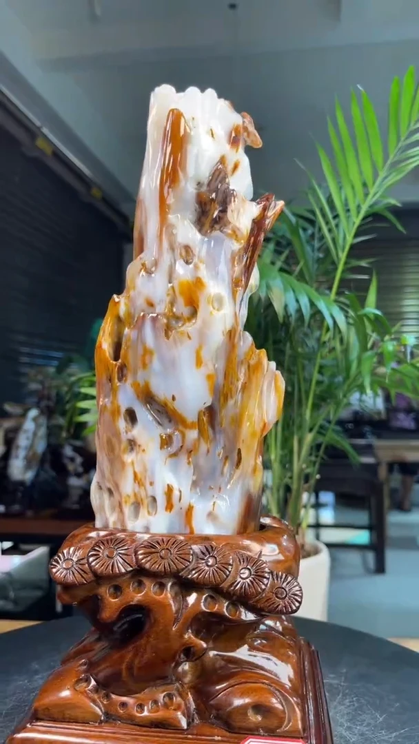 未镶嵌硅化玉（树化玉）珠宝奇石2812（高度30厘米）