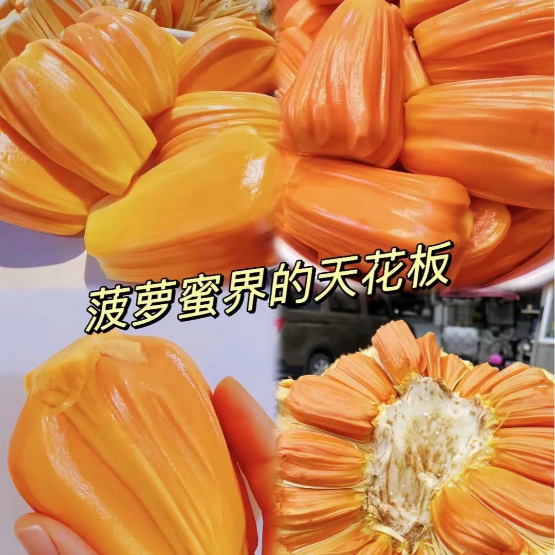 【高端印尼红】进口印尼红肉波罗蜜 切块香甜到心里 【河南省内发】