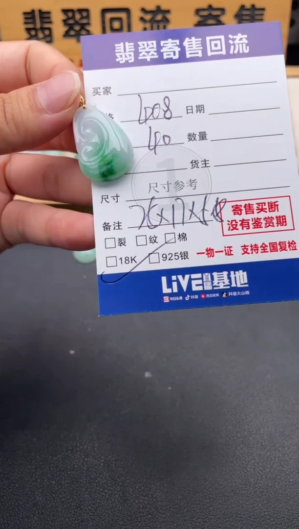 颈饰18K金镶嵌翡翠10147084