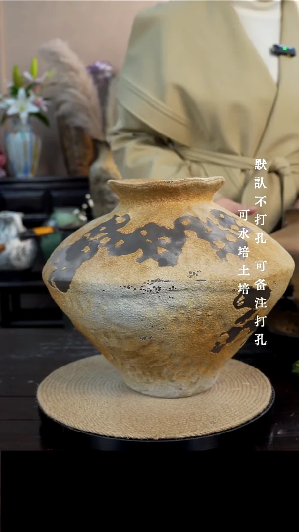 摆件陶瓷01景德镇高档陶瓷花瓶