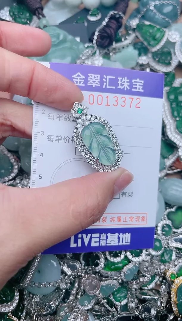 【闪购商品】翡翠颈饰未镶嵌13372...1