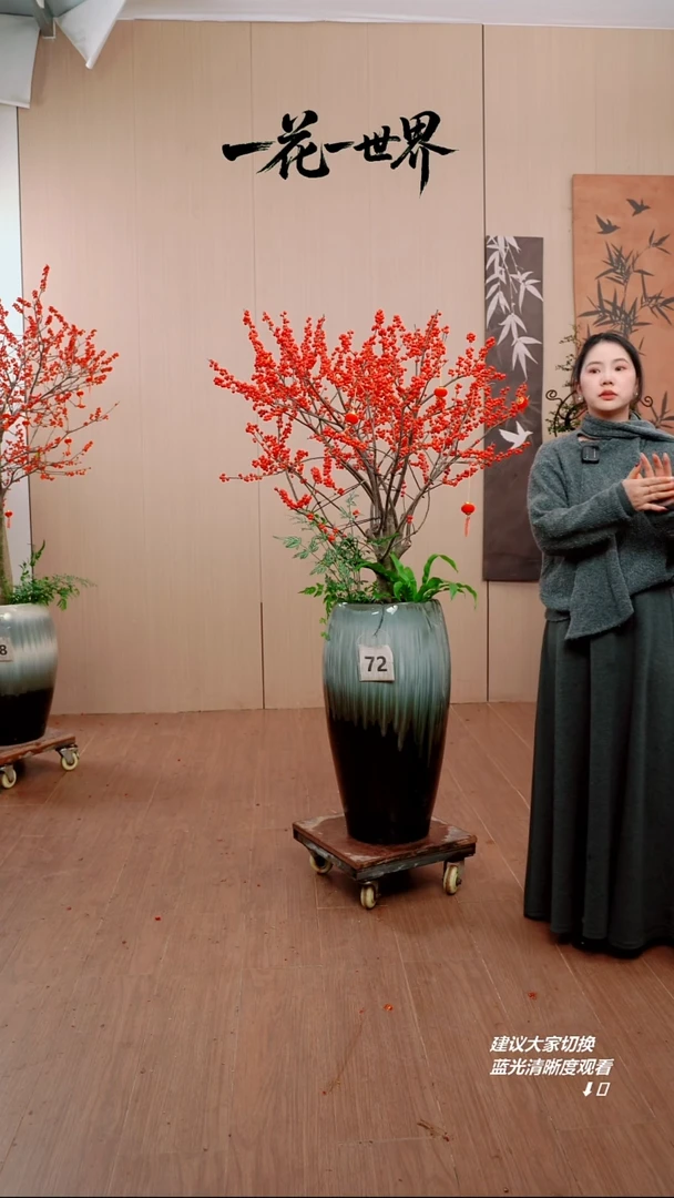 完全开放票*【闪购链接】72号链接