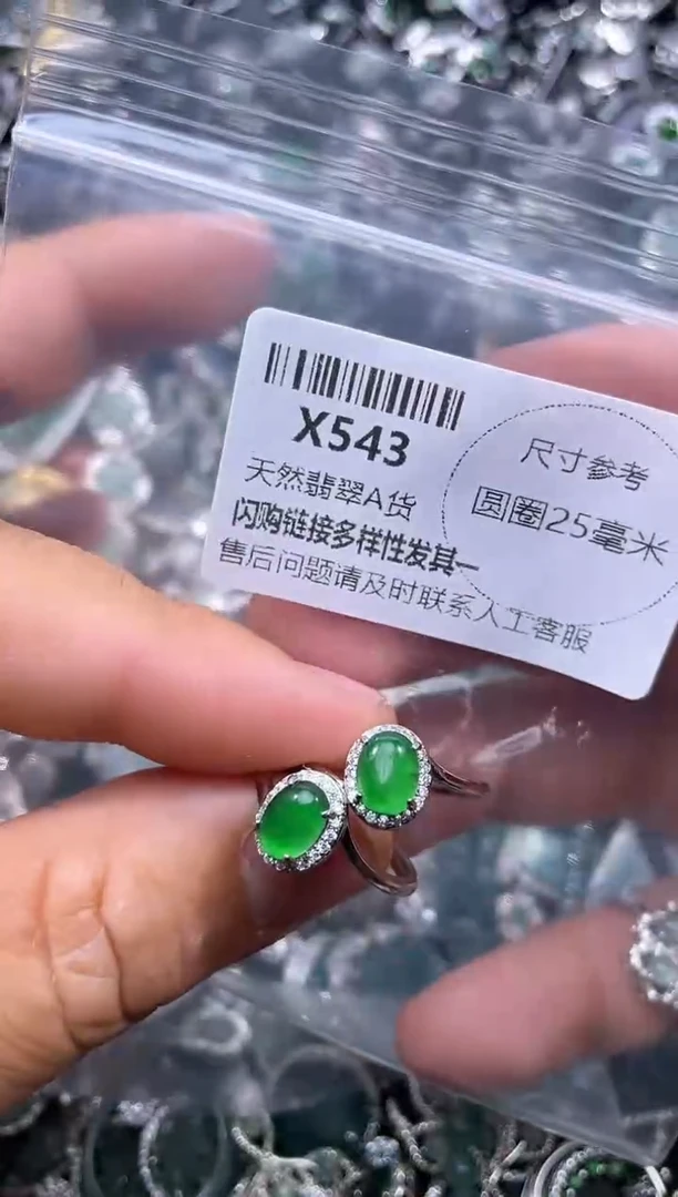 【闪购商品】翡翠颈饰未镶嵌X543戒指 多样性发其一