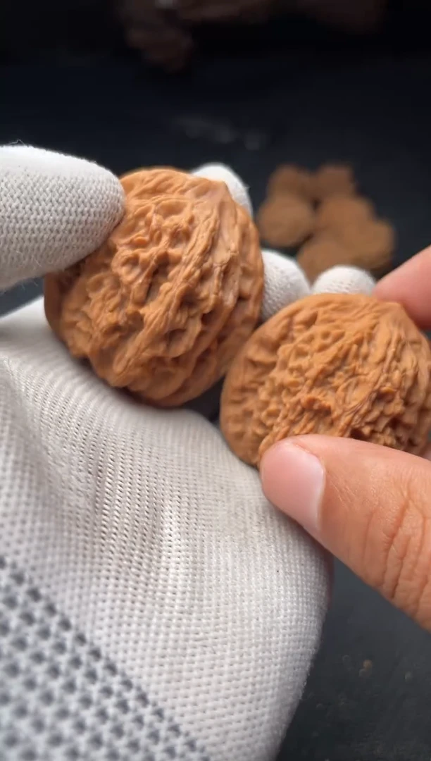 核桃a259 麦虎  42尺