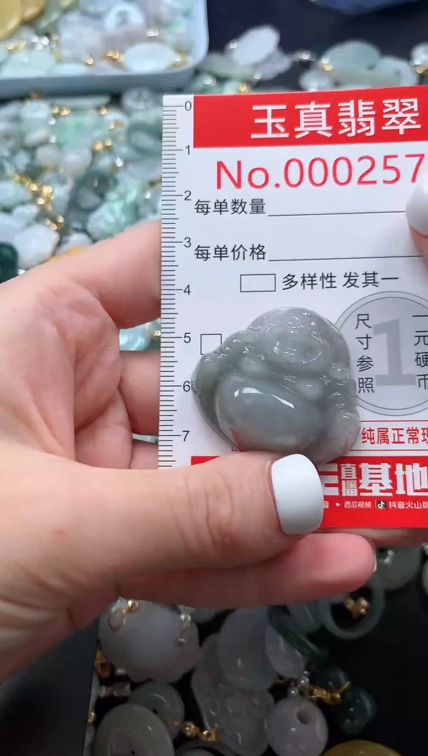 翡翠未镶嵌吊坠(不含链)2573