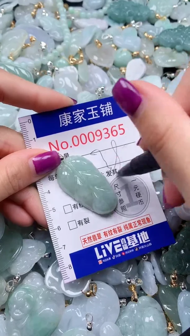 颈饰未镶嵌翡翠9365