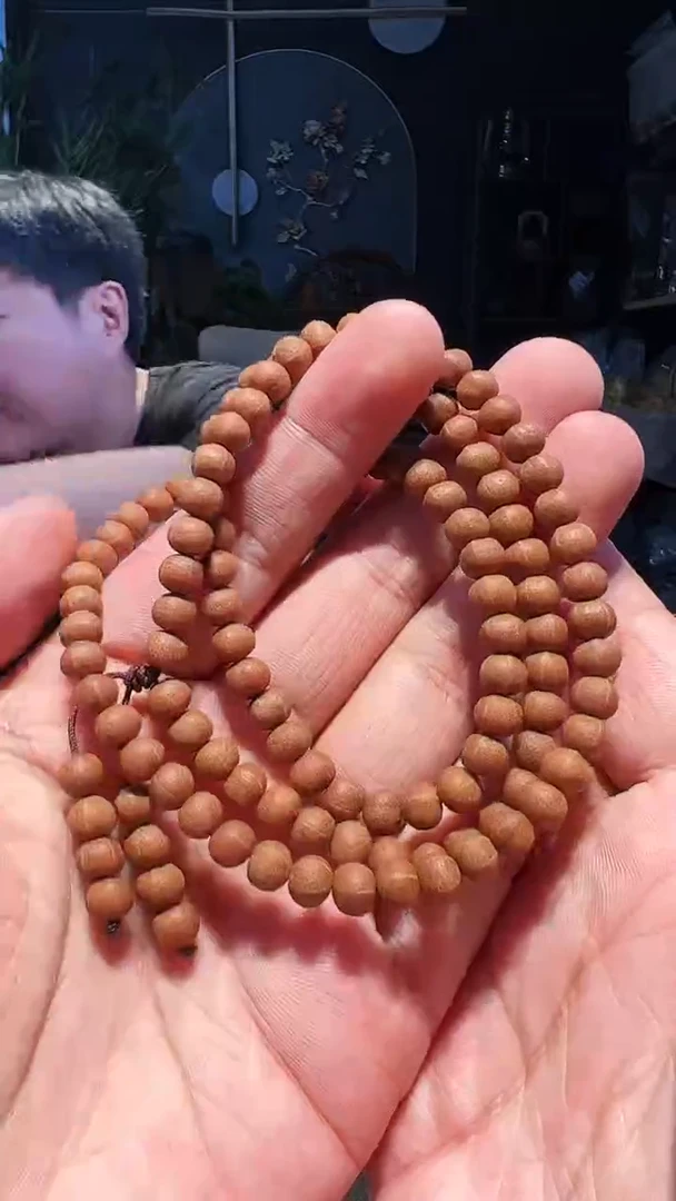 【闪购商品】五线菩提手串6+铁108多圈