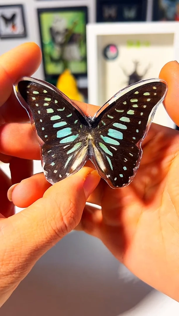 有机玻璃351564968