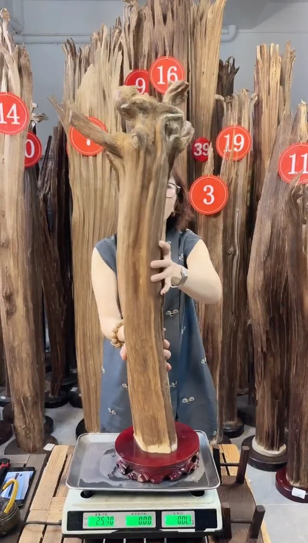 沉香碎屑沉香沉香多样性发一件26