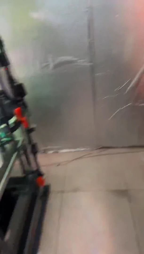 灯科鱼龍**下A11莫妮卡*1