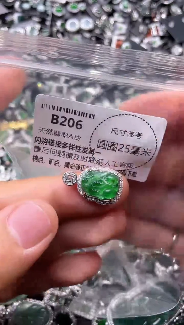 翡翠未镶嵌颈饰B206吊坠