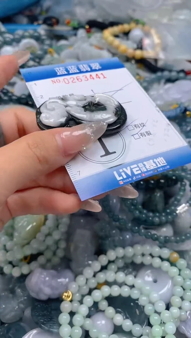 翡翠未镶嵌颈饰闪购0263441