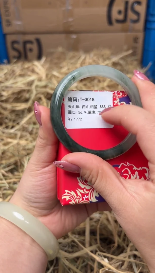 未镶嵌手镯石英质玉T-3018