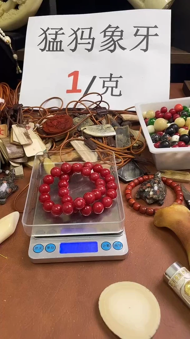 猛犸卡卡三姑娘14m圆珠单圈