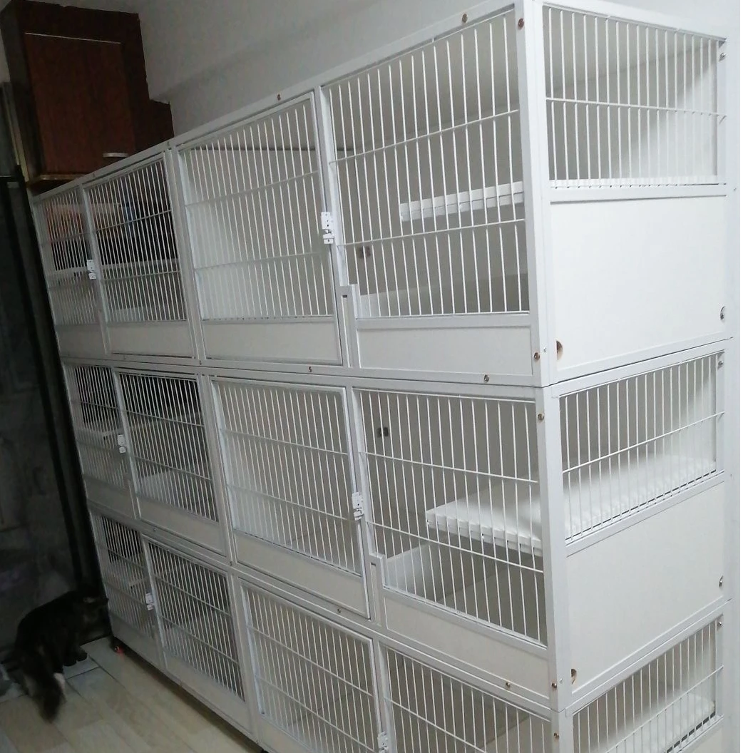 猫笼繁殖笼家用实木猫笼超大自由空间家用室内两层三层木质猫柜