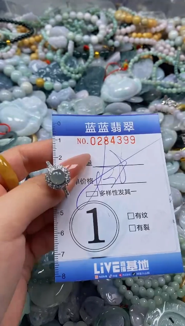 翡翠未镶嵌颈饰闪购0284399多样性发其一