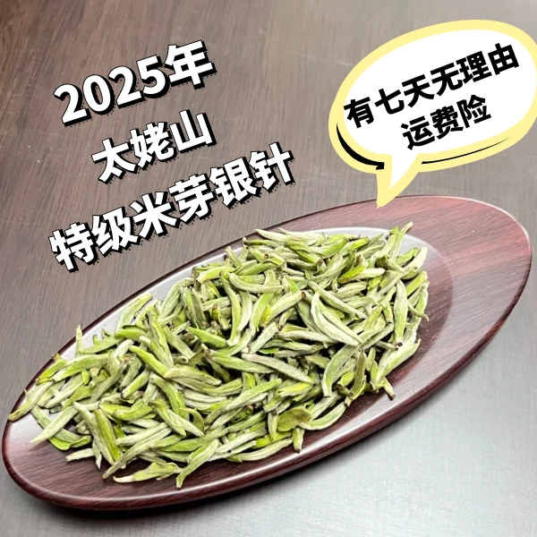 【白老板福鼎白茶2448】2025年太姥山头采特级米芽银针