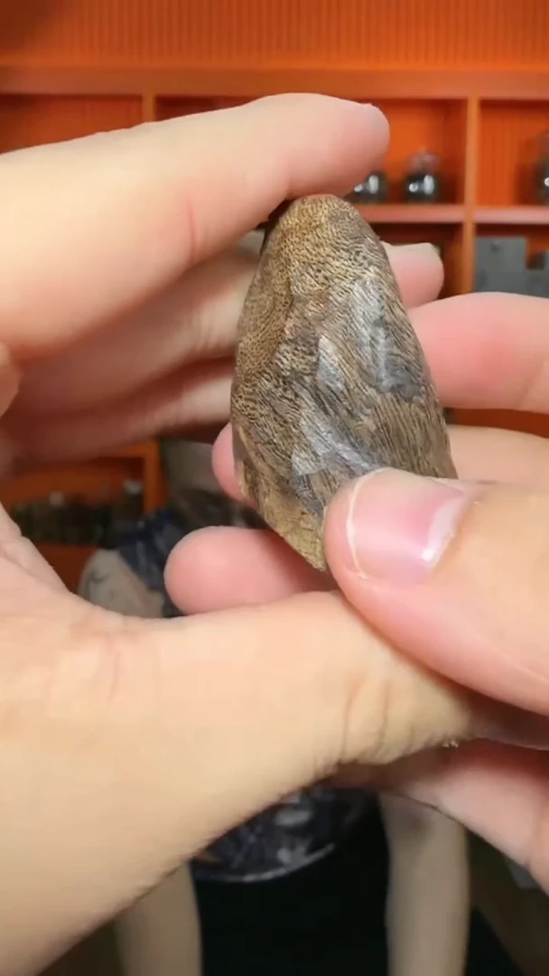 沉香吊坠492号沉水原母树小包头多样性发一