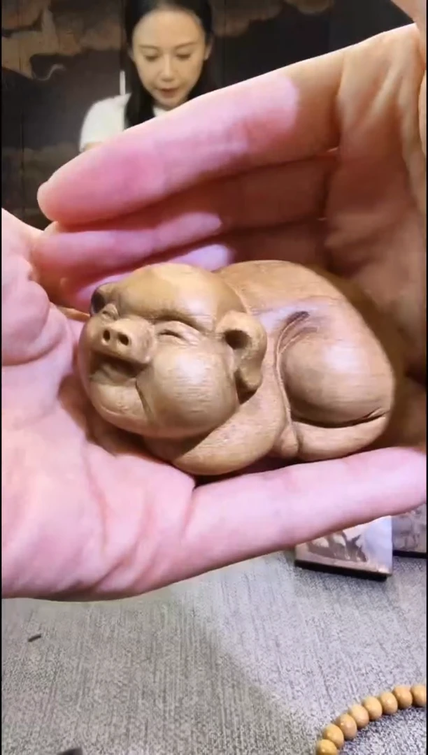 金丝楠      猪猪