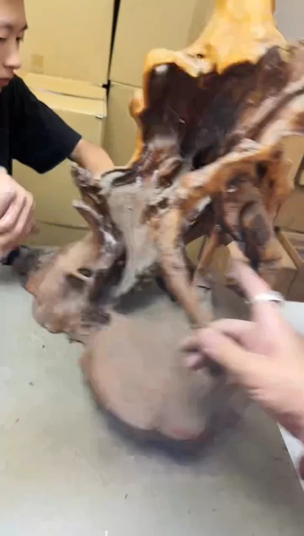 瓷片1236聚宝缘海陶精选