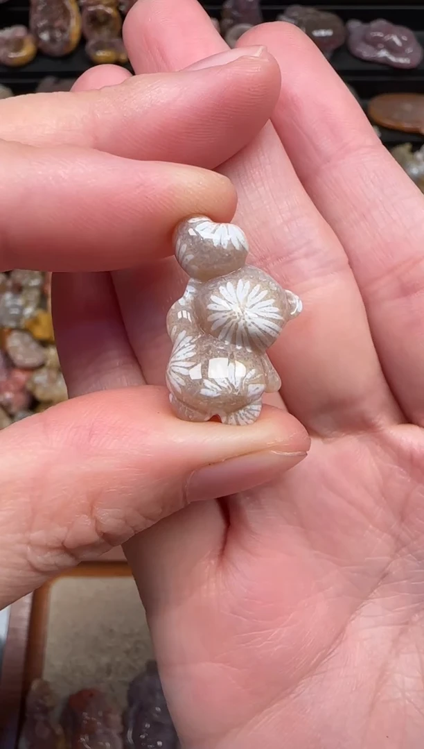 颈饰未镶嵌硅化珊瑚（珊瑚玉）814