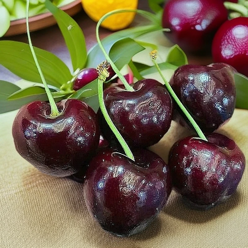 4JD智利海运车厘子桑提娜5-10斤原箱 内附果径卡