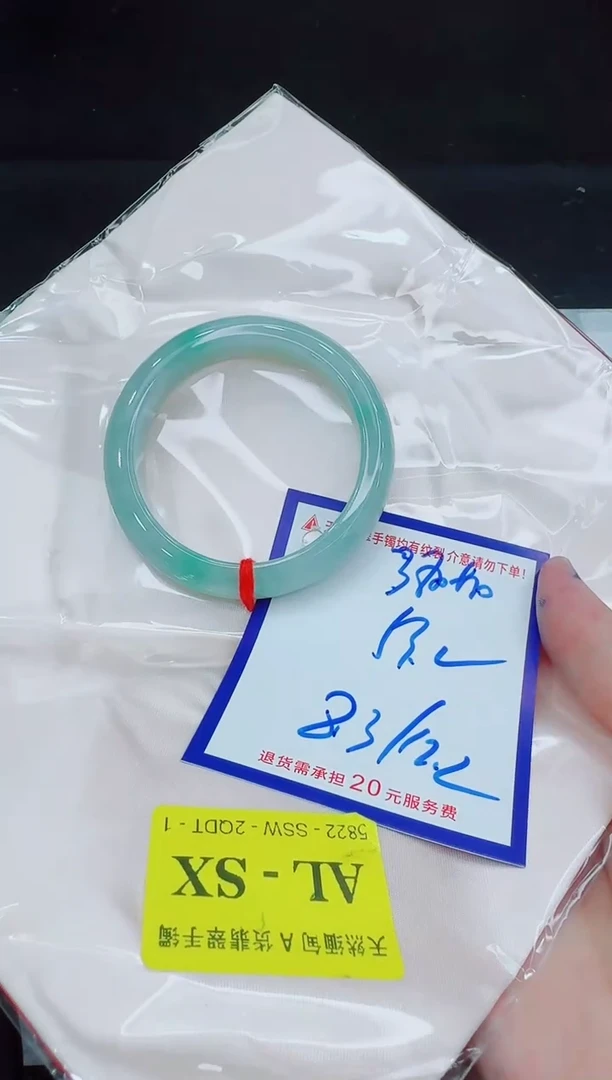 未镶嵌手镯翡翠11111111