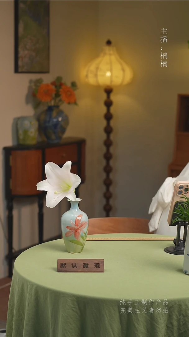 瓷片不带花景德镇手工手绘陶瓷花瓶赏瓶