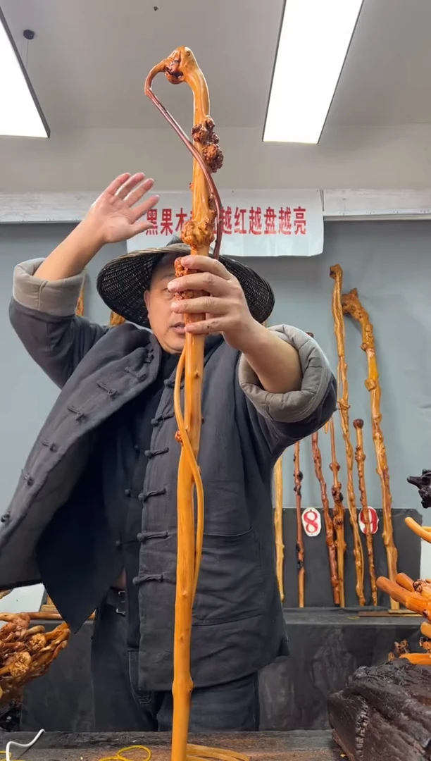 【闪购商品】黑果木其他黑果木303