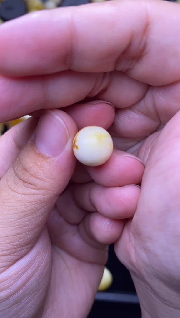 裸石琥珀未镶嵌 大小姐珠宝严选9