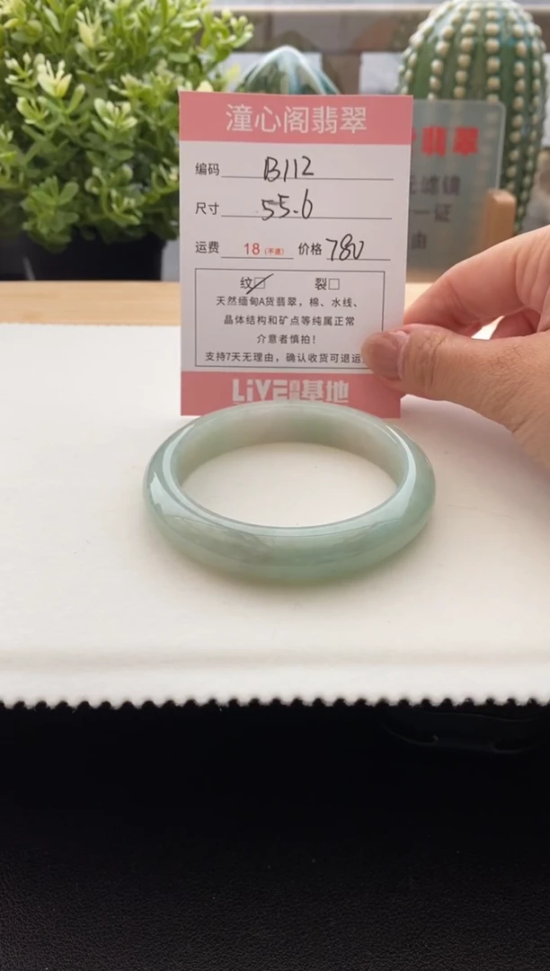 未镶嵌手镯翡翠56圈口 编码 B112