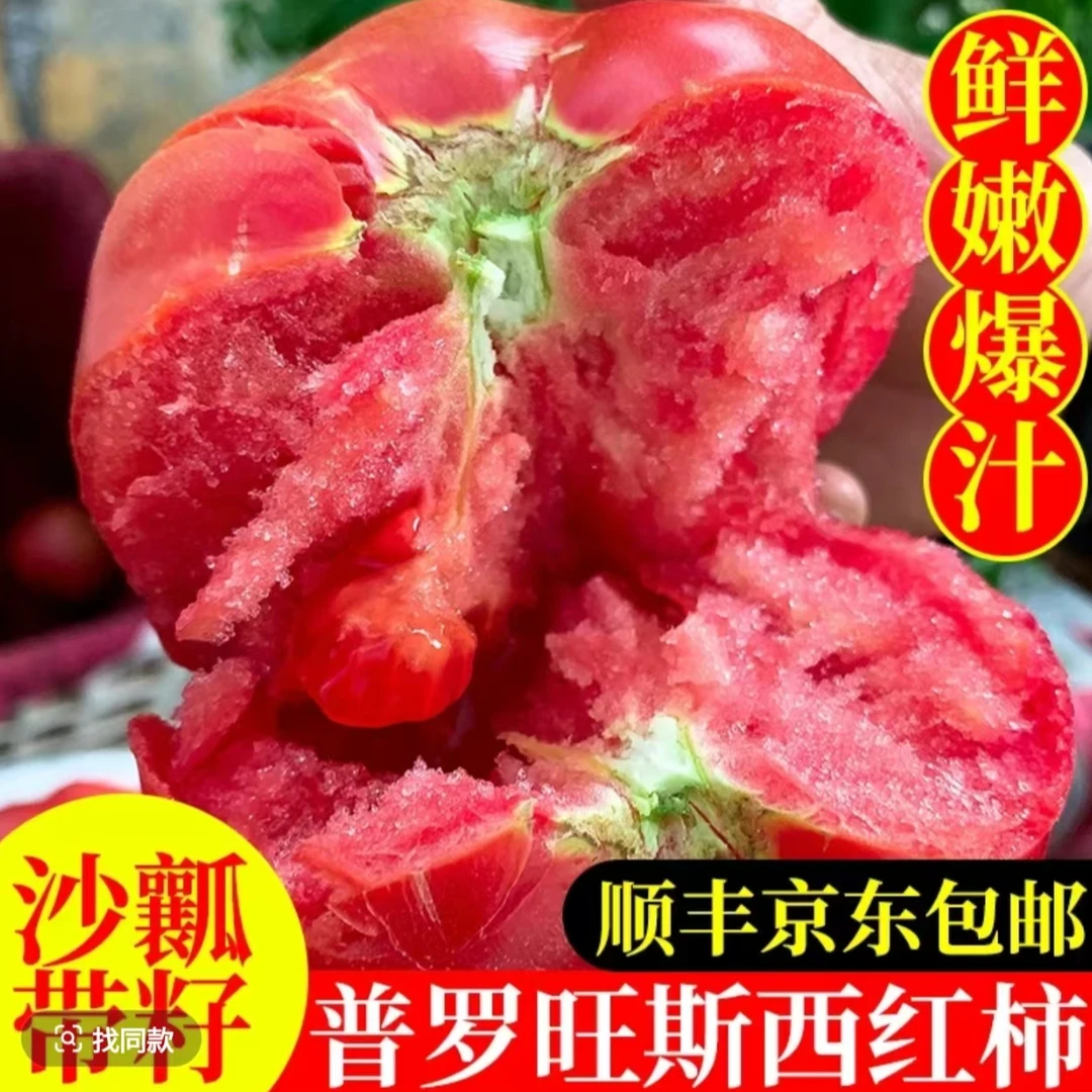 草莓西红柿普罗旺斯水果番茄陕西泾阳原产地现摘现发儿时味道