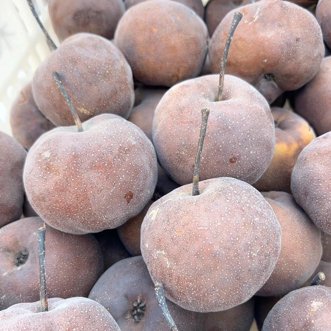 省内专拍/兰州什川软儿梨冻梨化心梨皮薄肉细特产包邮