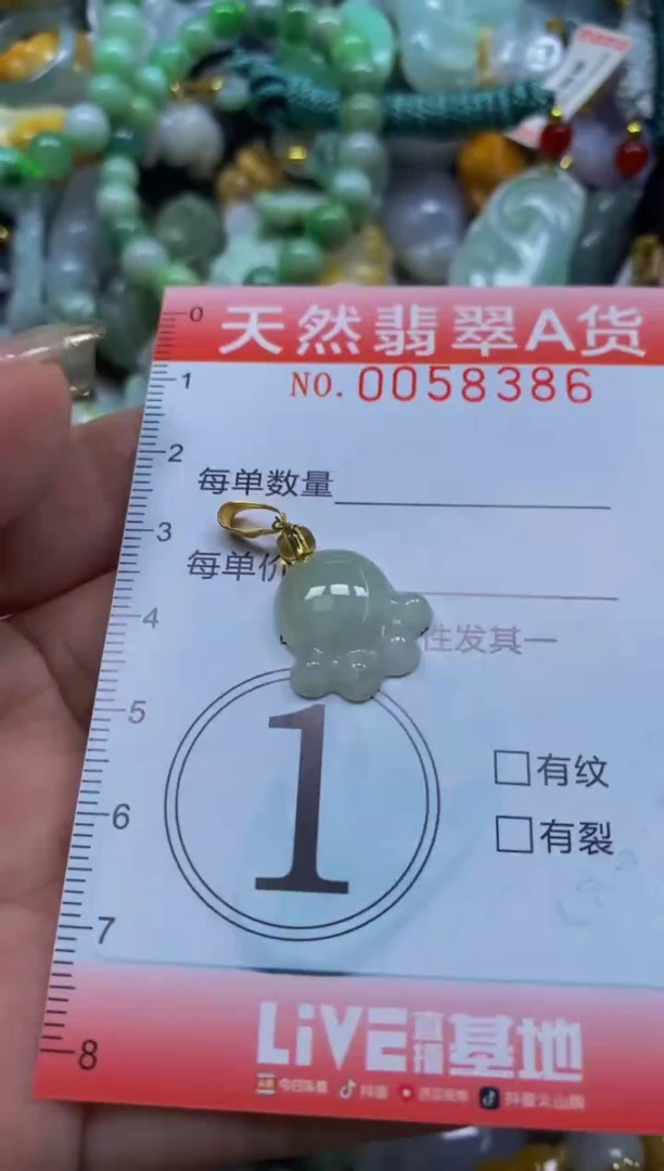 翡翠未镶嵌颈饰闪购0058386