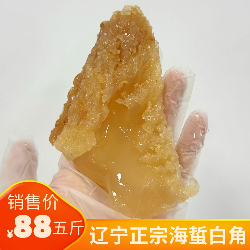 【海蜇头】爽脆鲜嫩无泥沙肉厚饱满白角棉蜇头