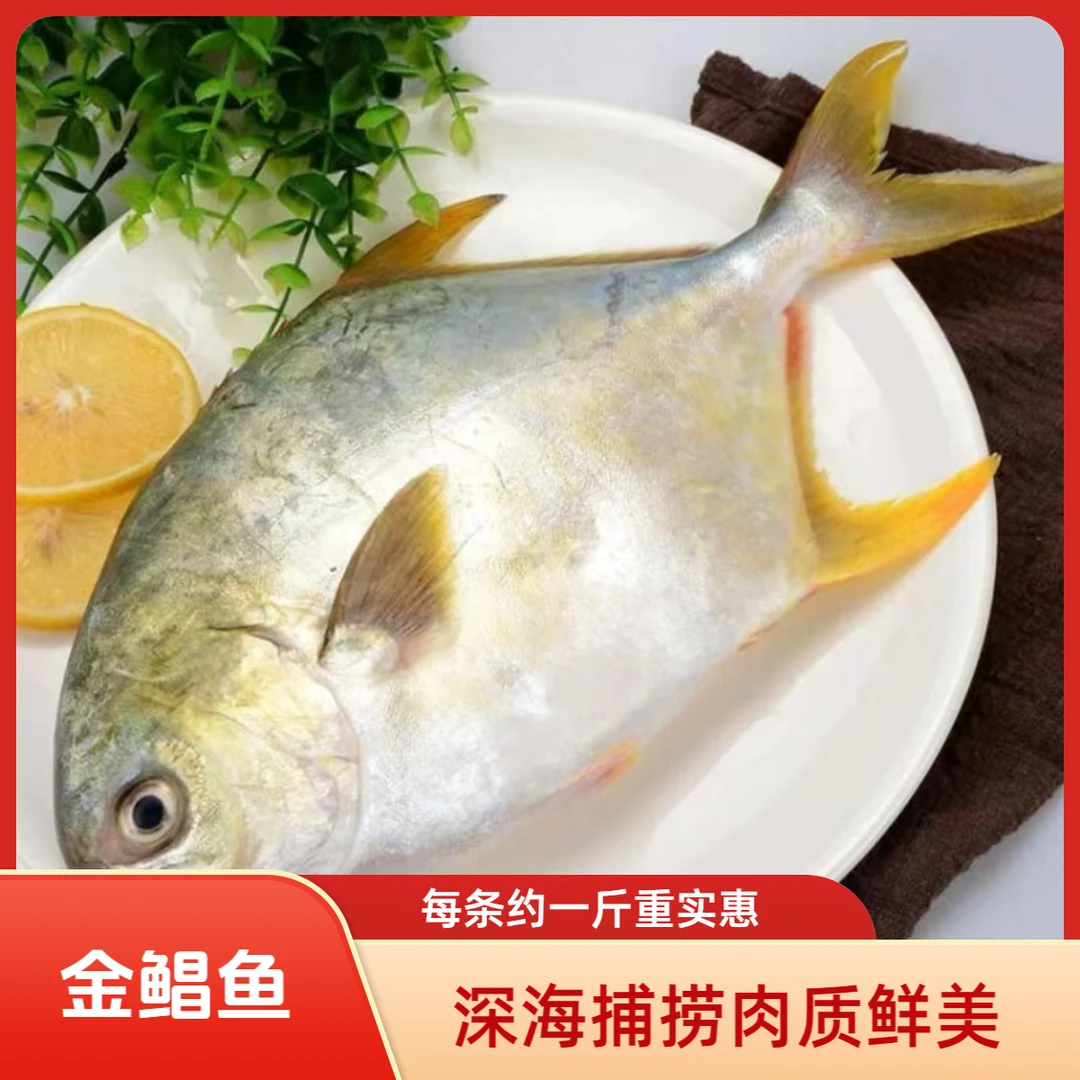 新鲜金鲳鱼1斤左右/条*4条鲜活冷冻大金昌鱼平鱼深海鱼海鲜水产