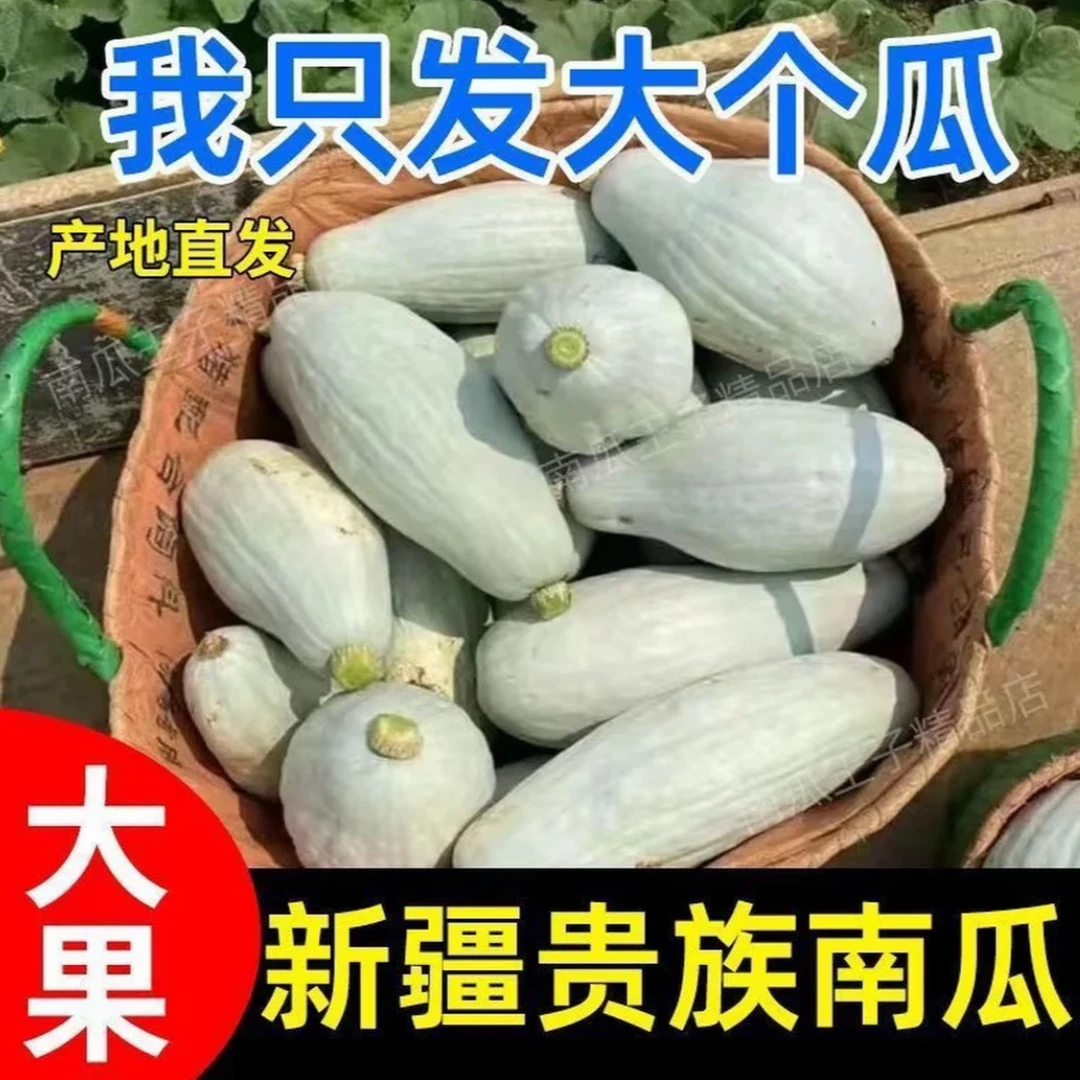 【新疆贵族南瓜】9斤实惠装，爆粉板栗味新疆塔城发货120天成熟老瓜