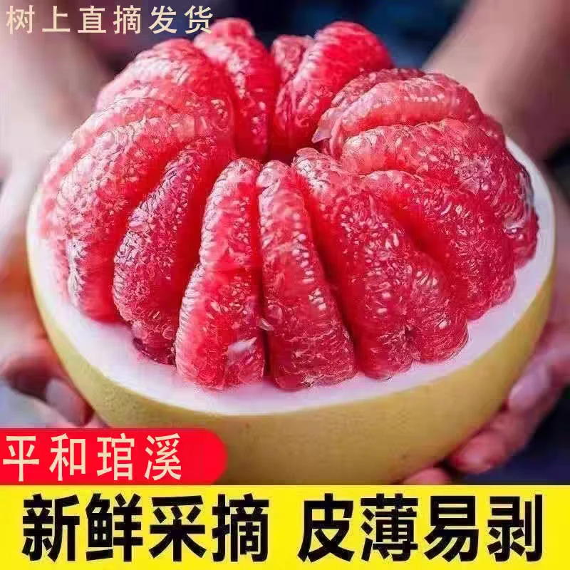 海南红心蜜柚柚子5-12斤海南省