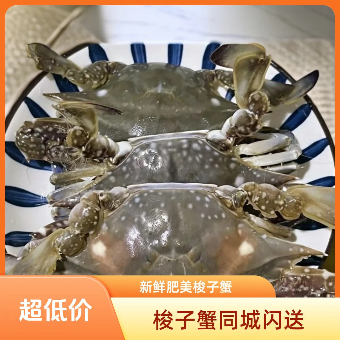 【鲜活】单只2-3两 梭子蟹 斤数可选. 螃蟹 海蟹 海捕少腿正常 【保鲜不保活】 充氧活发  北京同城闪送.