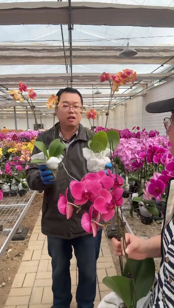 咕**喱补差价10元闪拍