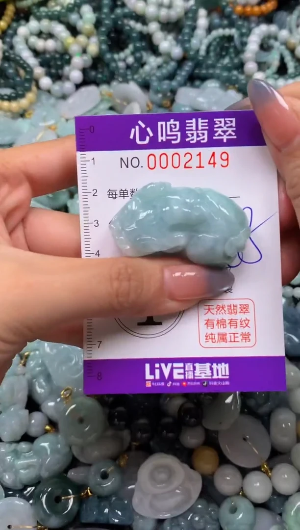 颈饰未镶嵌翡翠闪购002149