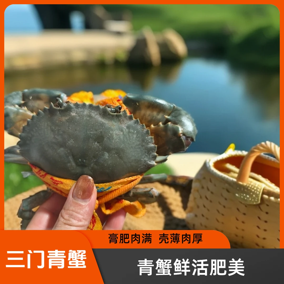 正宗三门青蟹 公蟹 海鲜鲜活水产