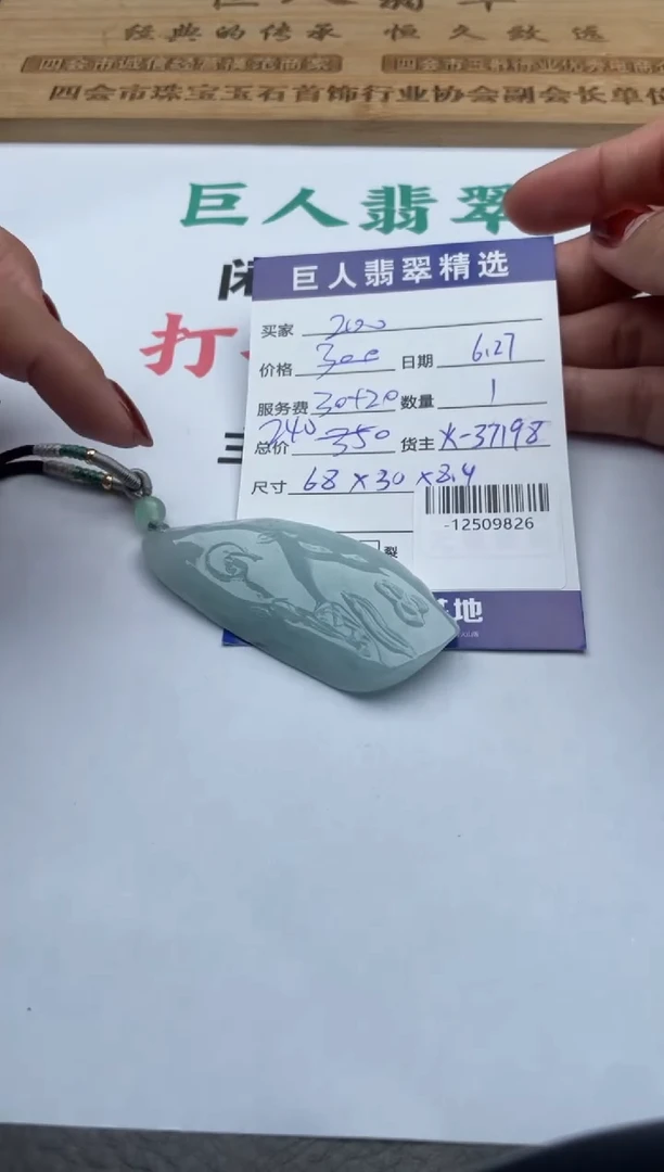 翡翠未镶嵌颈饰多人-12509826